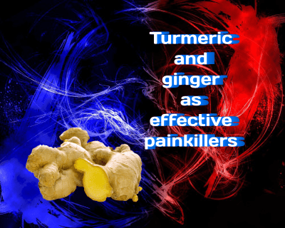 The Use of Turmeric and Ginger as Effective Painkillers