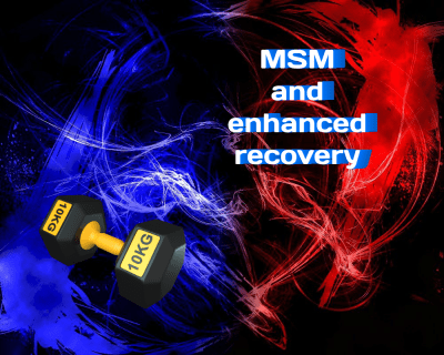 MSM and Enhanced Recovery After Strength Training