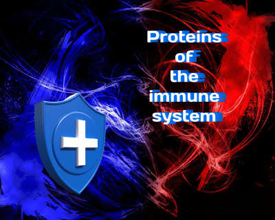 Proteins of the Immune System