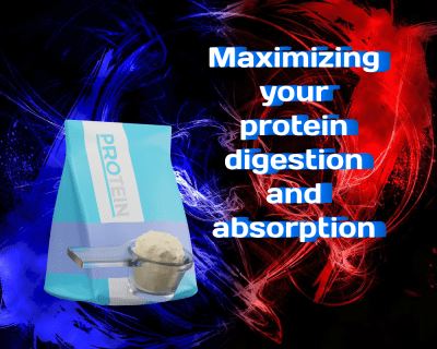 Maximizing Your Protein Digestion and Absorption: A Scientific Perspective