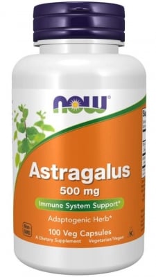 Astragalus 500 mg - 100 capsules