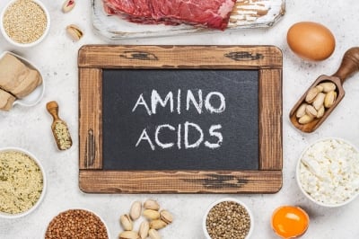 Amino Acids: Understanding and Choosing the Right Ones
