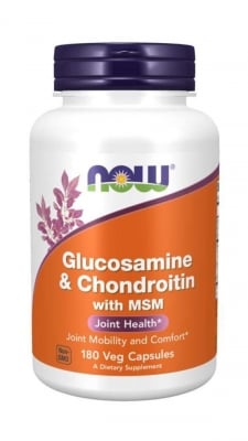 Glucosamine & Chondroitin MSM - 180 capsules