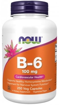 Vitamin B-6 100 mg - 250 capsules