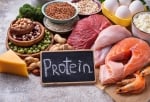 Maximizing Your Protein Digestion and Absorption: A Scientific Perspective