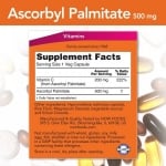Ascorbyl Palmitate 500 mg - 100 capsules