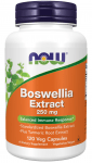 Boswellia 250 mg - 120 capsules