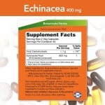 Echinacea 400 mg - 100 capsules